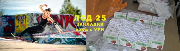 индика Валдай