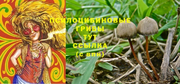 каннабис Покачи